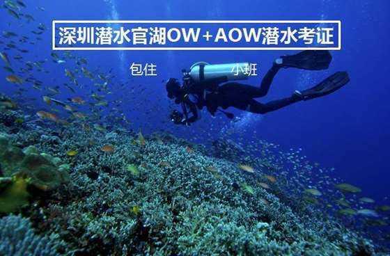 深化战略合作 三星携手百度共同打造Galaxy S24 系列生成式AI体验